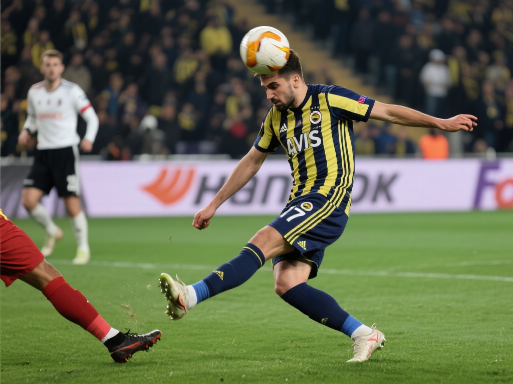 的综合运用 的综合运用